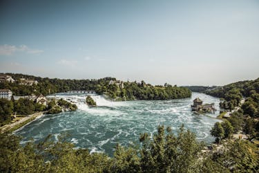 Экскурсия на полдня в Штайн-на-Рейне и Рейнский водопад Шаффхаузен из Цюриха